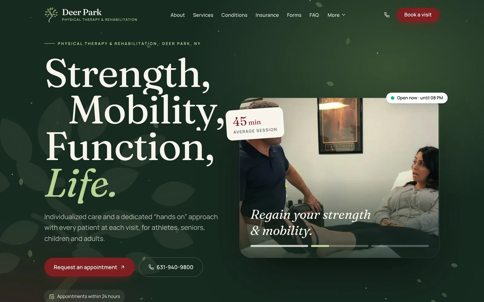 Deer Park Physical Therapy website built by Disame Graphics
