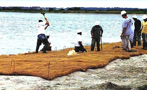 Galvin Corps Restore New York City Wetlands, image 2