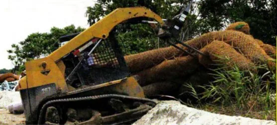 Galvin Corps Restore New York City Wetlands, image 4
