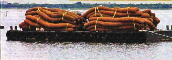Galvin Corps Restore New York City Wetlands, image 3
