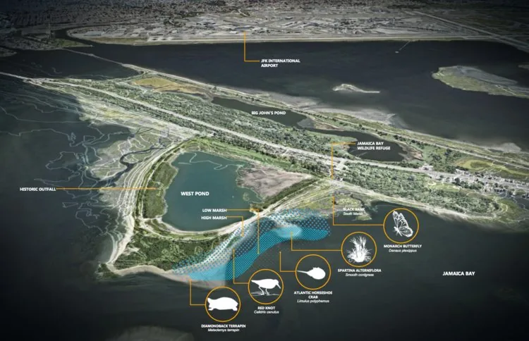 Jamaica Bay – Rockaway Parks Conservancy – West Pond Living Shoreline Restoration Project, image 2