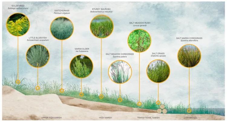 Jamaica Bay – Rockaway Parks Conservancy – West Pond Living Shoreline Restoration Project, image 3