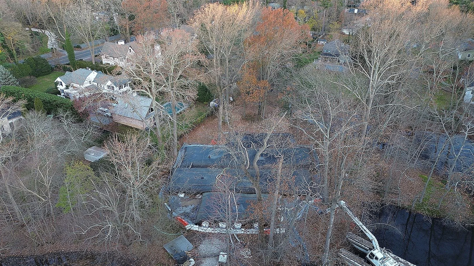 Bailey Arboretum, photo 3