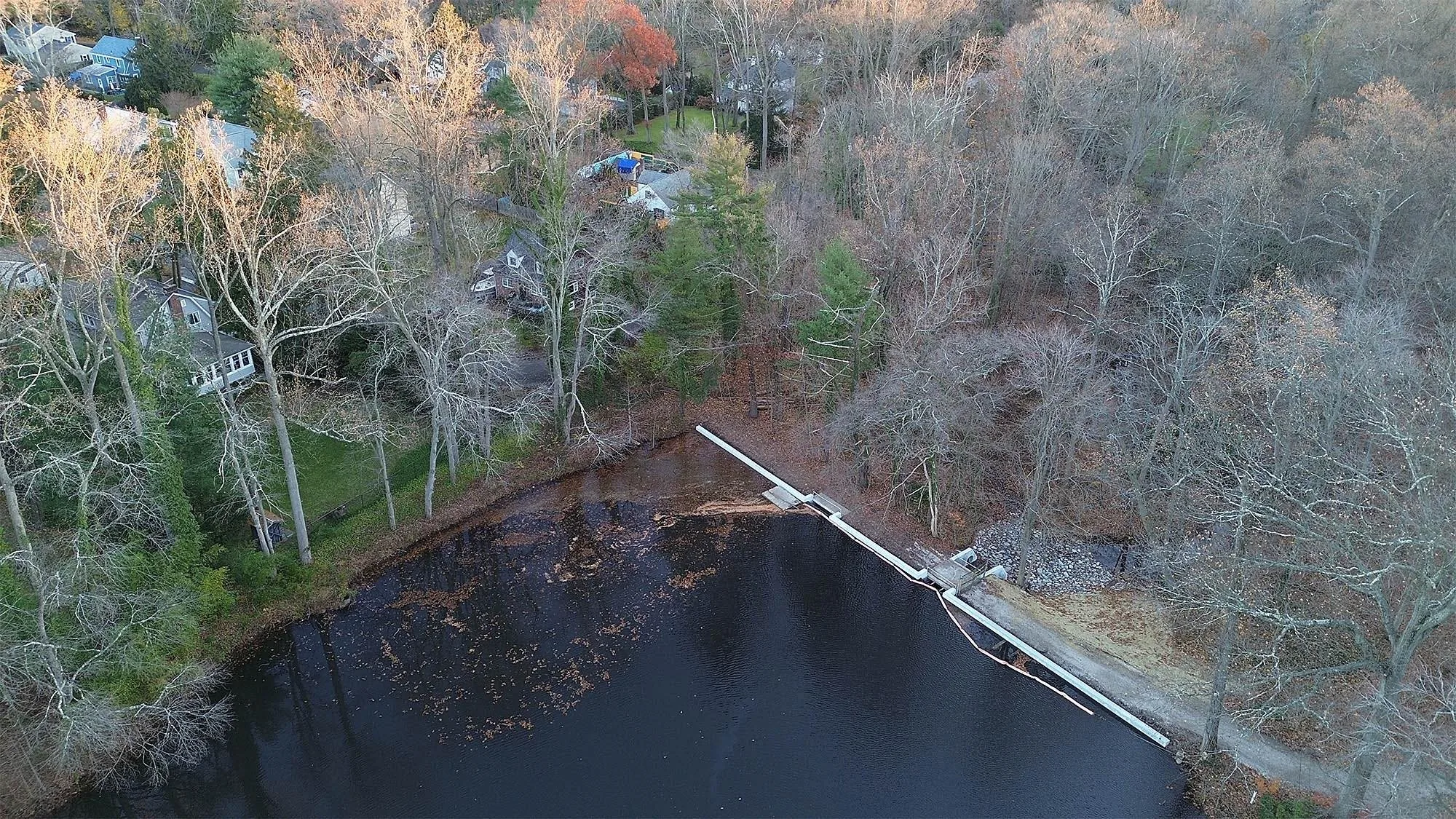 Bailey Arboretum, photo 4