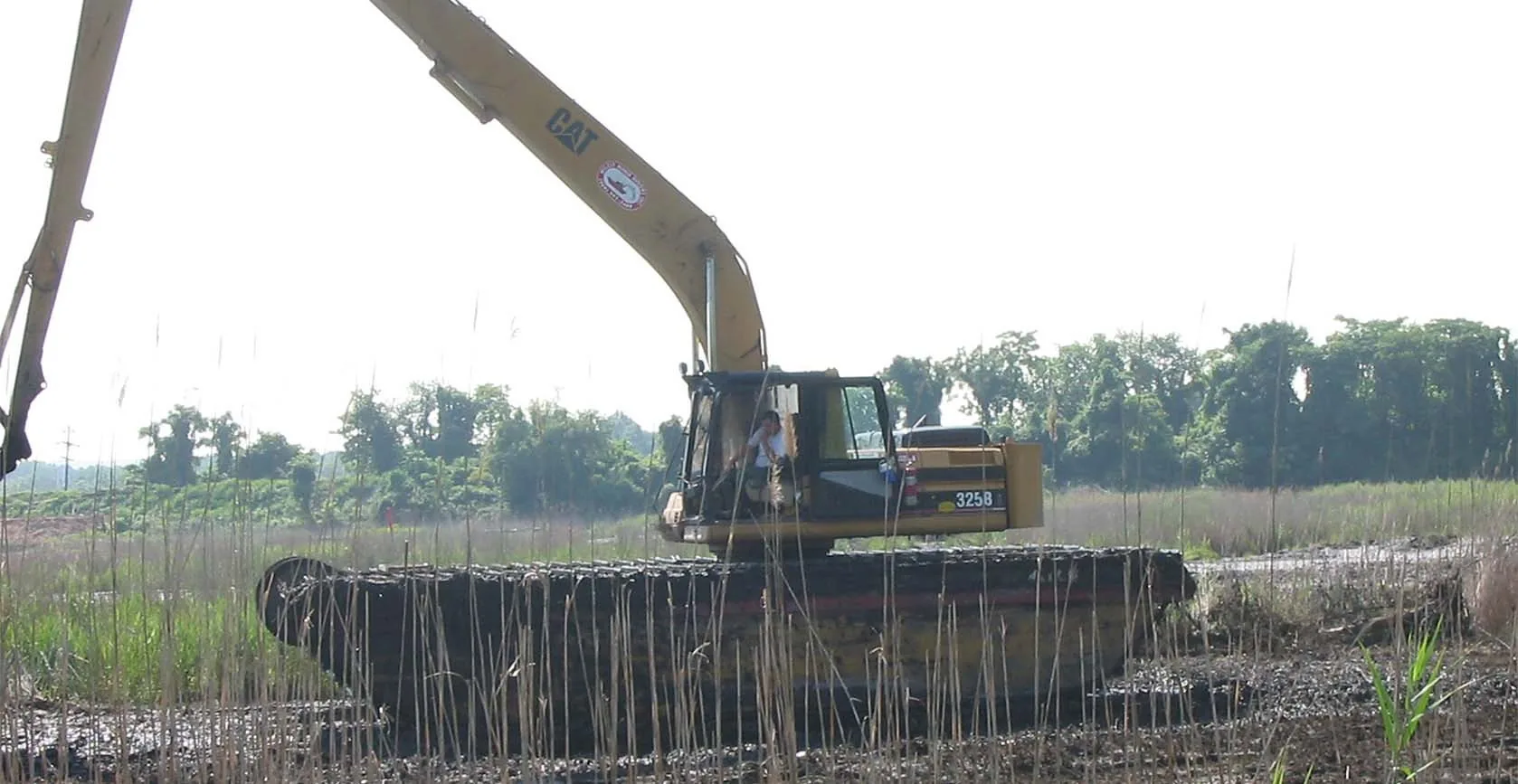 Bridge Creek Wetland – Staten Island, NY, photo 2