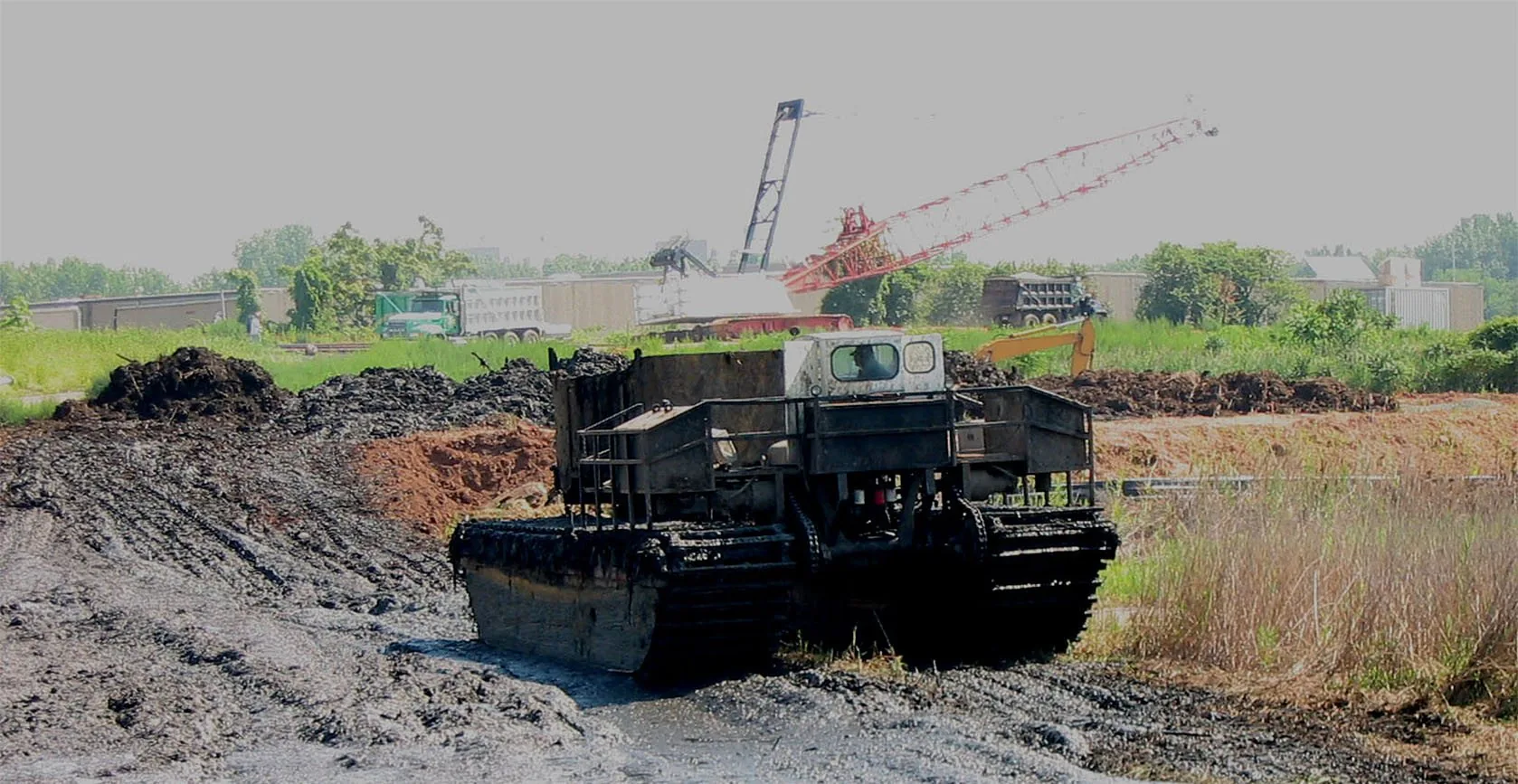 Bridge Creek Wetland – Staten Island, NY, photo 3