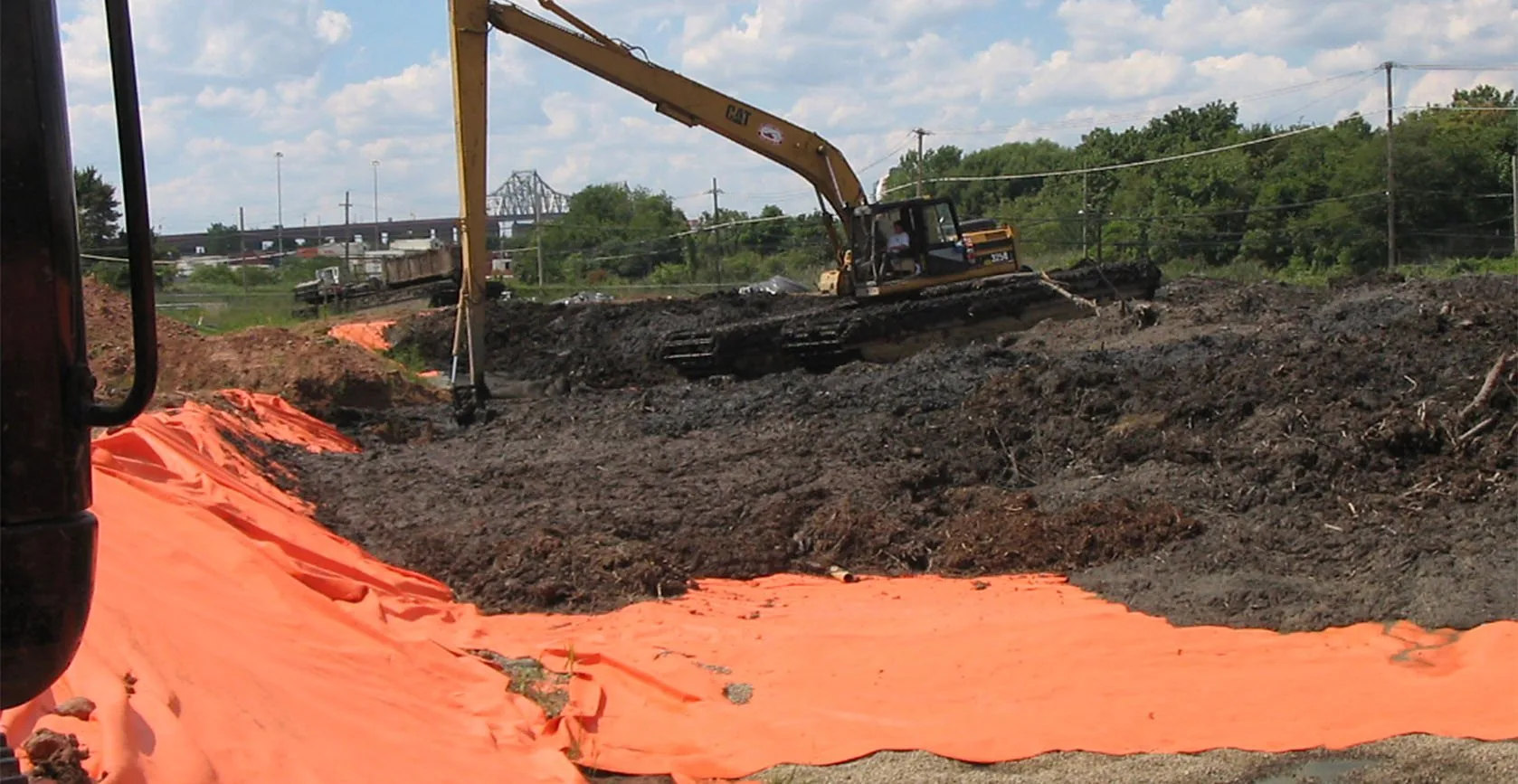 Bridge Creek Wetland – Staten Island, NY, photo 6