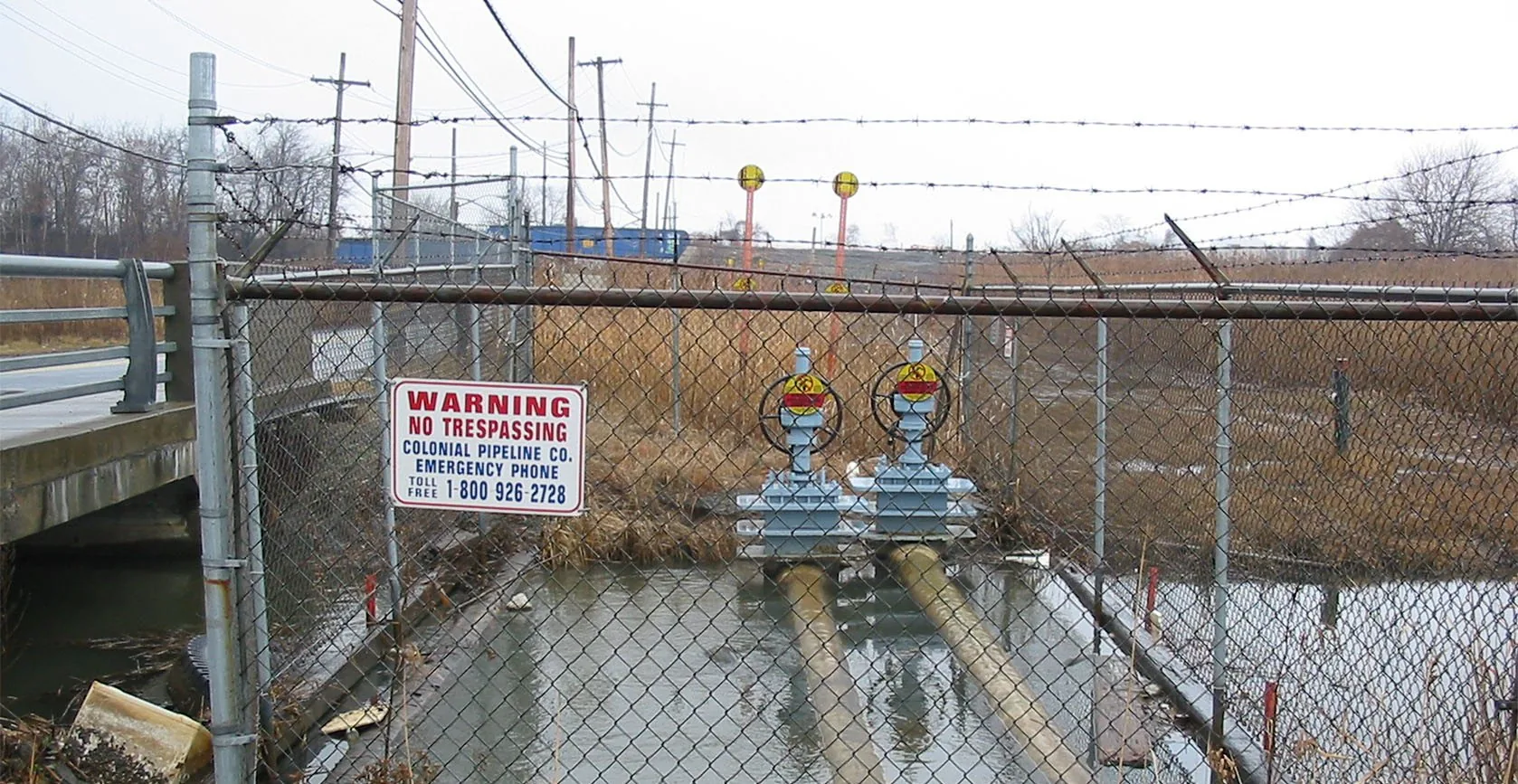 Bridge Creek Wetland – Staten Island, NY, photo 9