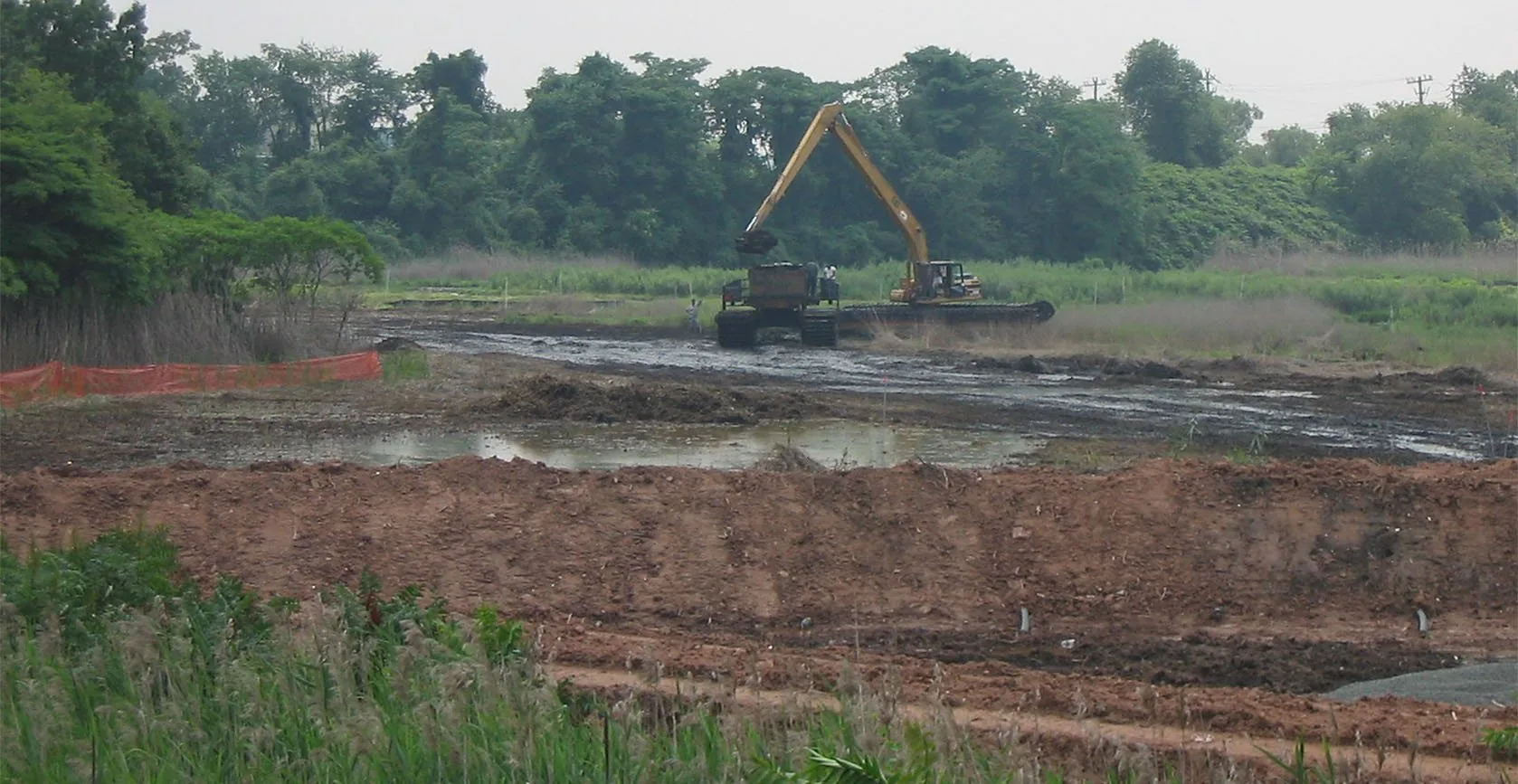 Bridge Creek Wetland – Staten Island, NY, photo 13