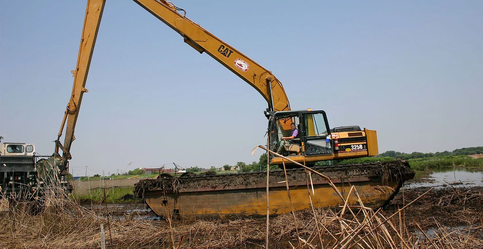 Bridge Creek Wetland – Staten Island, NY, photo 16
