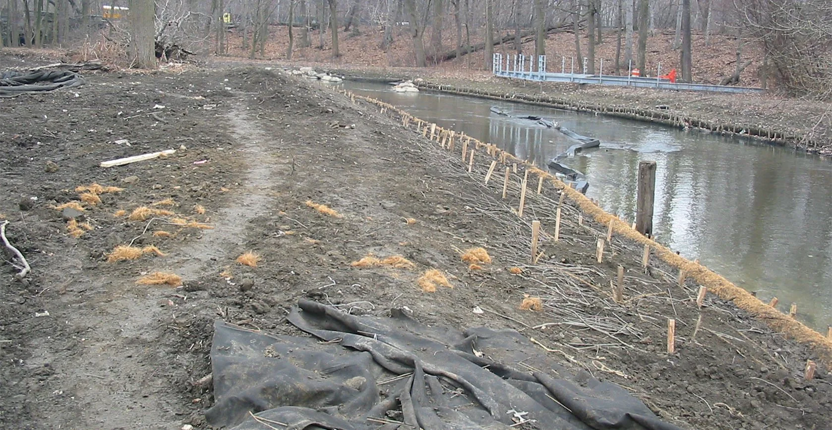 Bronx River Floodplain – Bronx, NY, photo 2
