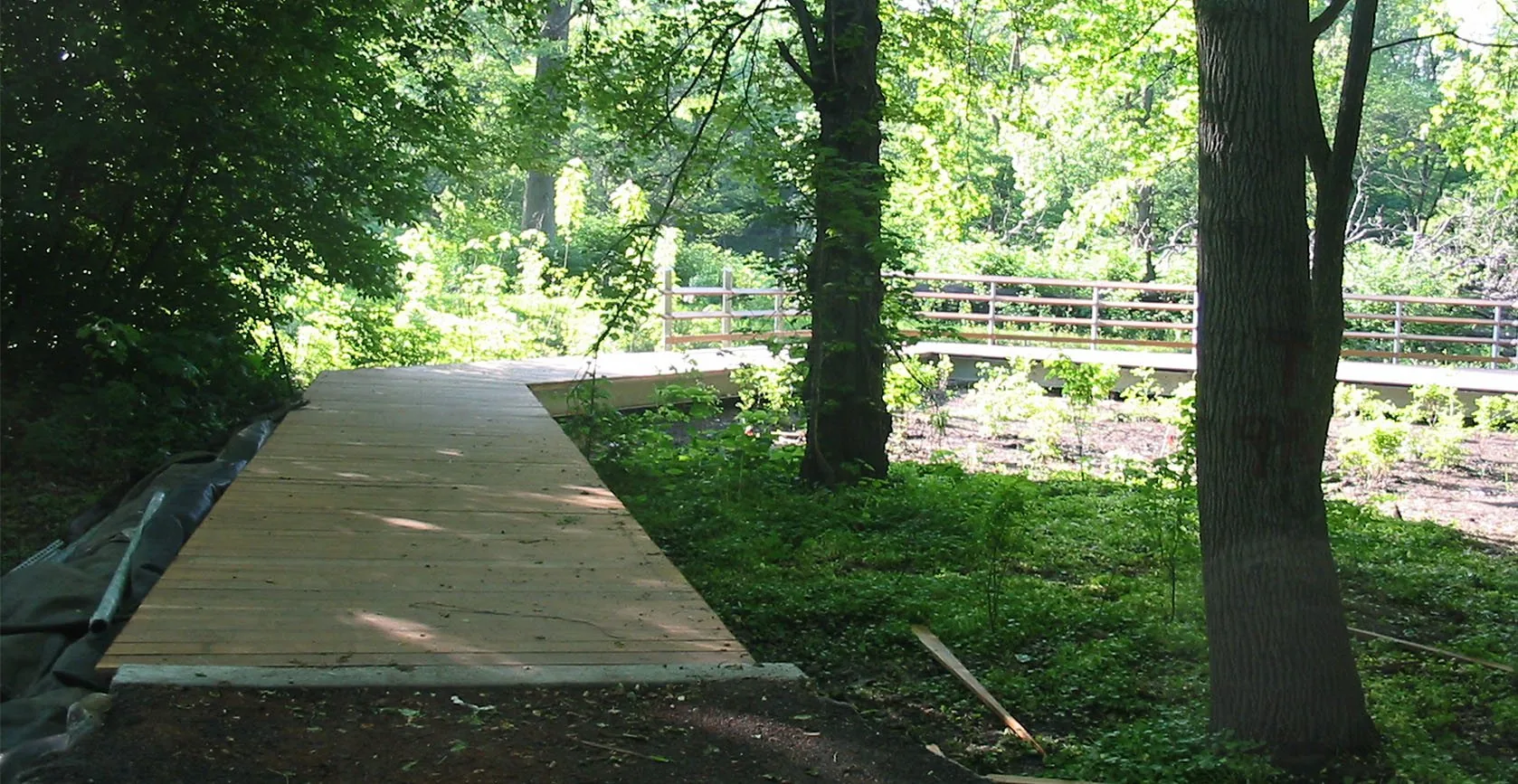 Bronx River Floodplain – Bronx, NY, photo 4