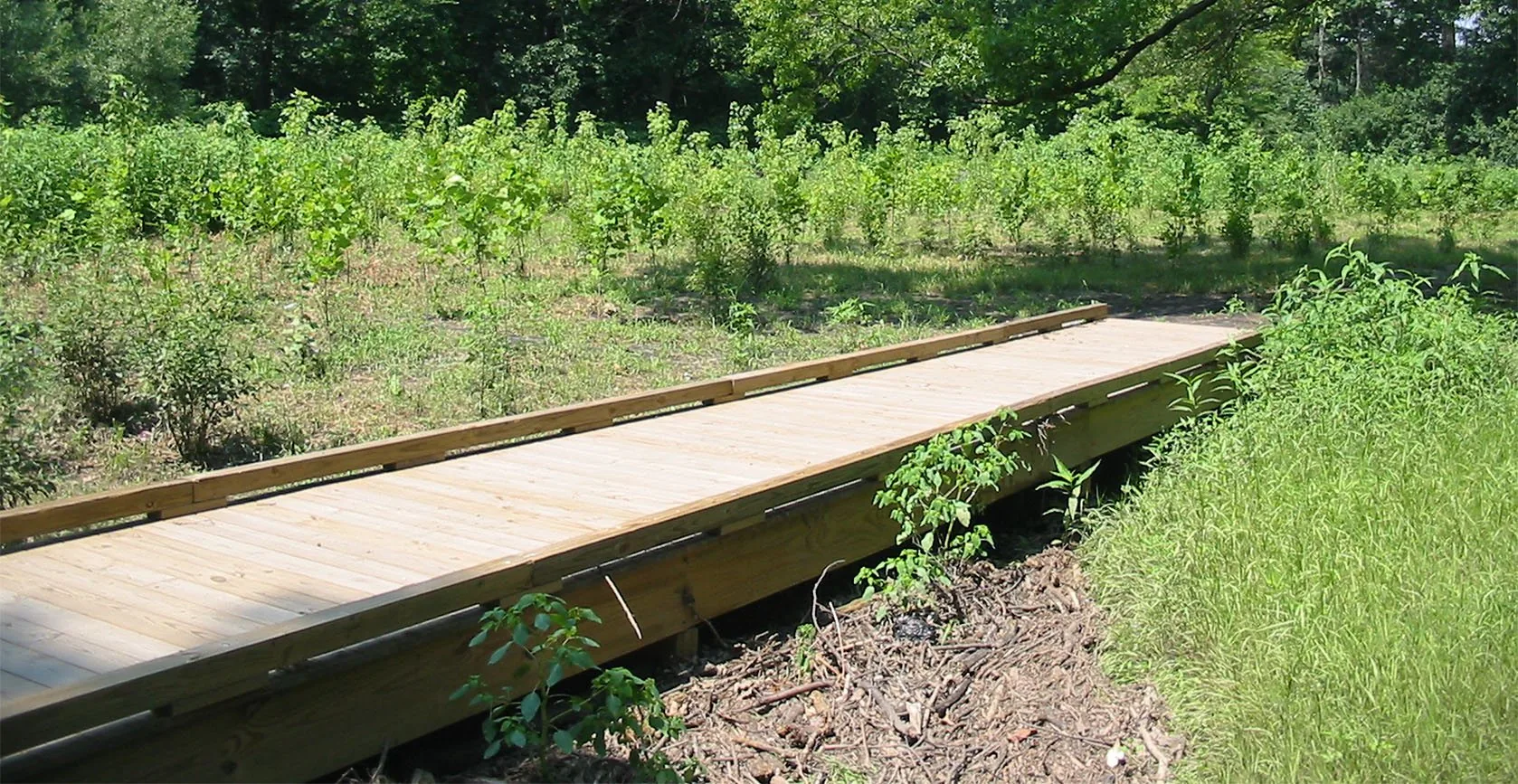 Bronx River Floodplain – Bronx, NY, photo 7