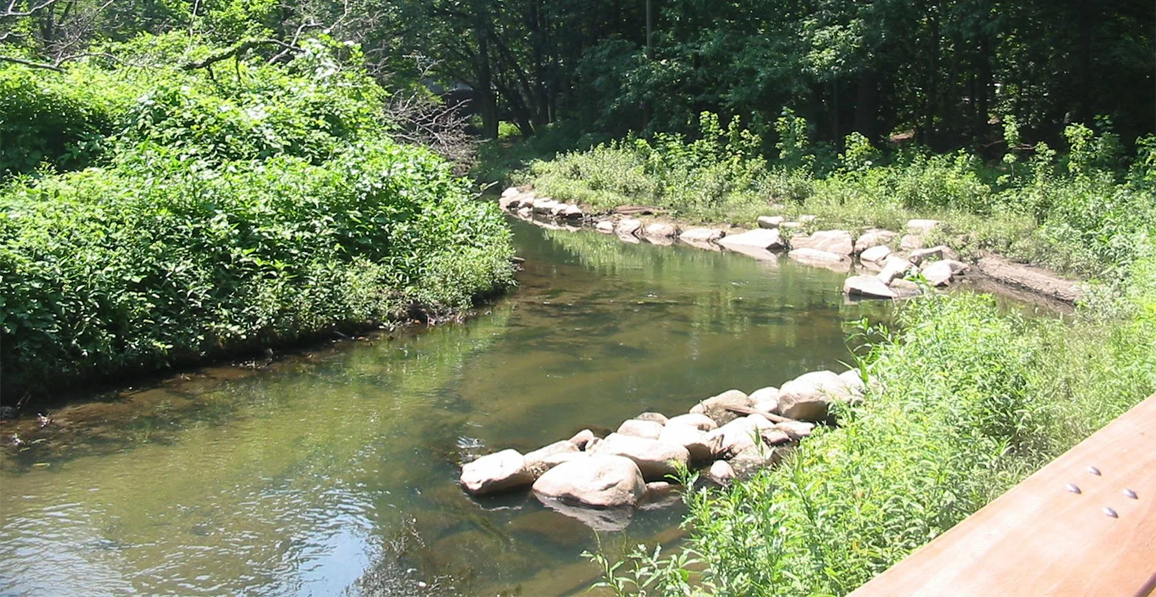 Bronx River Floodplain – Bronx, NY, photo 8