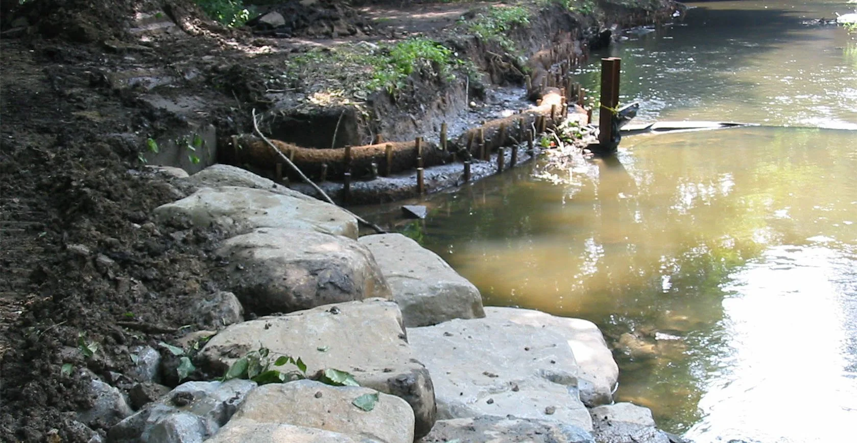 Bronx River Floodplain – Bronx, NY, photo 9