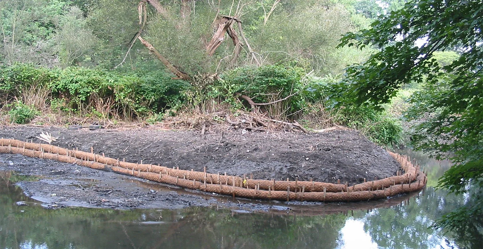 Bronx River Floodplain – Bronx, NY, photo 11