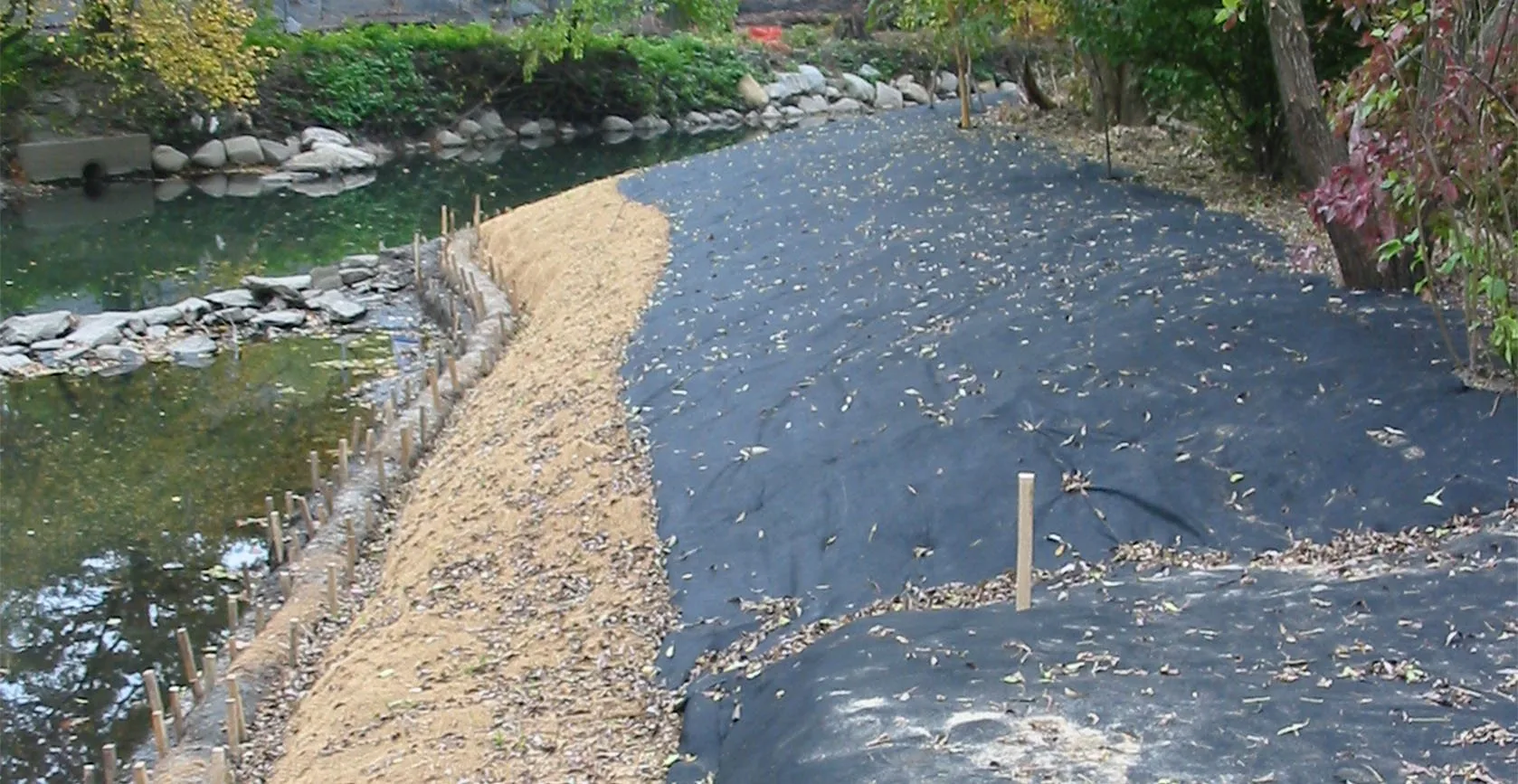 Bronx River Floodplain – Bronx, NY, photo 13