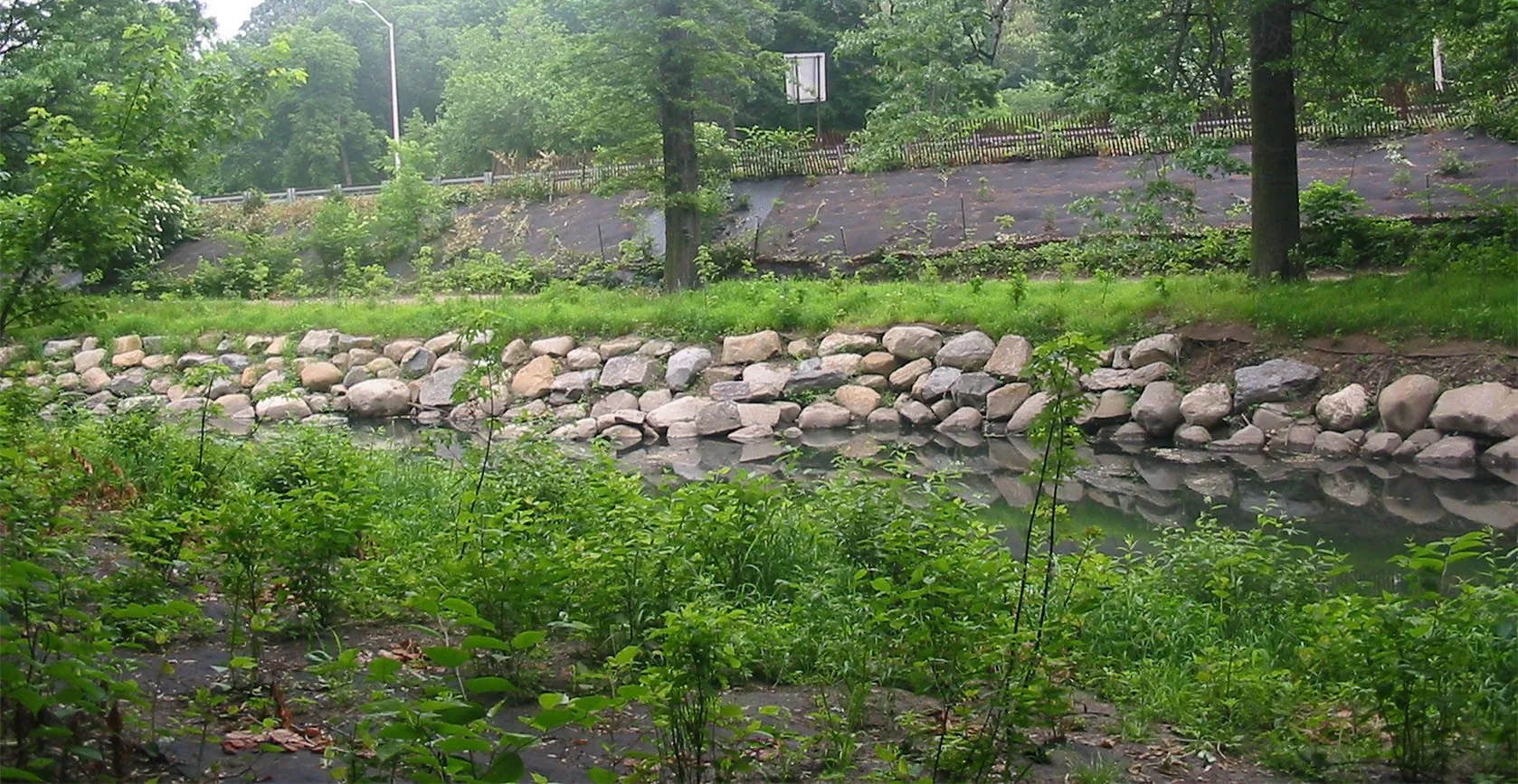 Bronx River Floodplain – Bronx, NY, photo 17