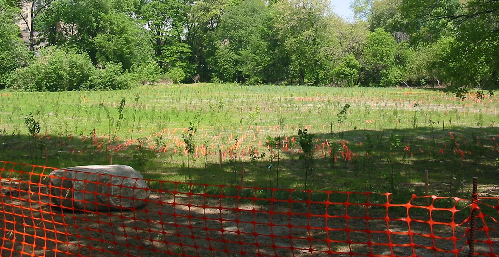 Bronx River Floodplain – Bronx, NY, photo 20