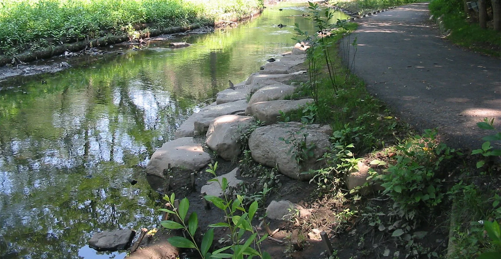 Bronx River Floodplain – Bronx, NY, photo 21