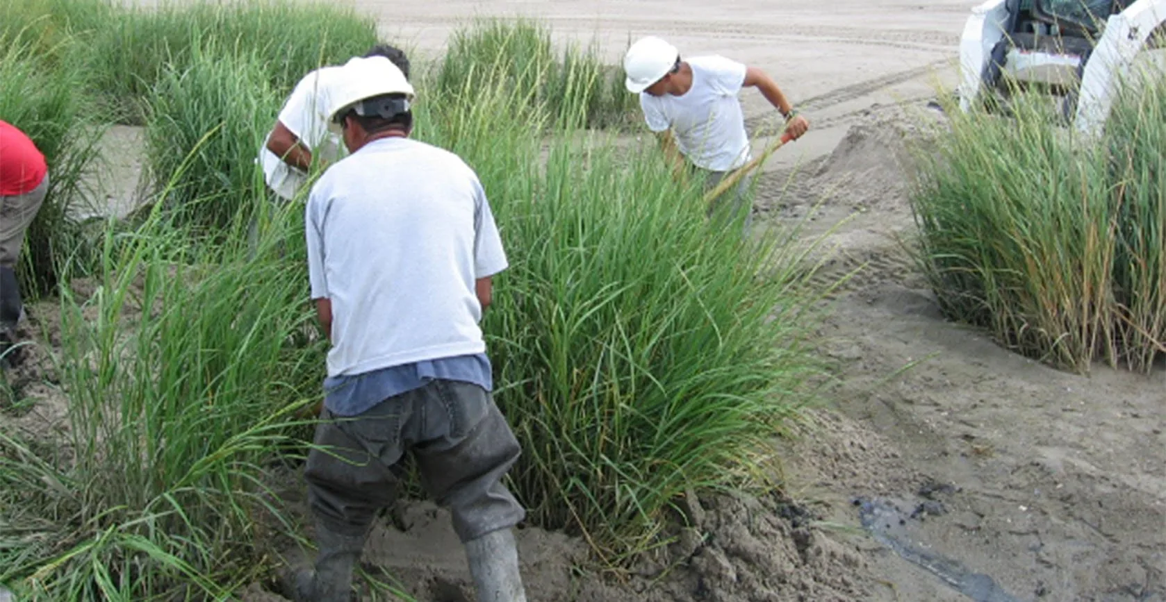 Elders Point Mitigation and Restoration – Jamaica Bay, NY, photo 8