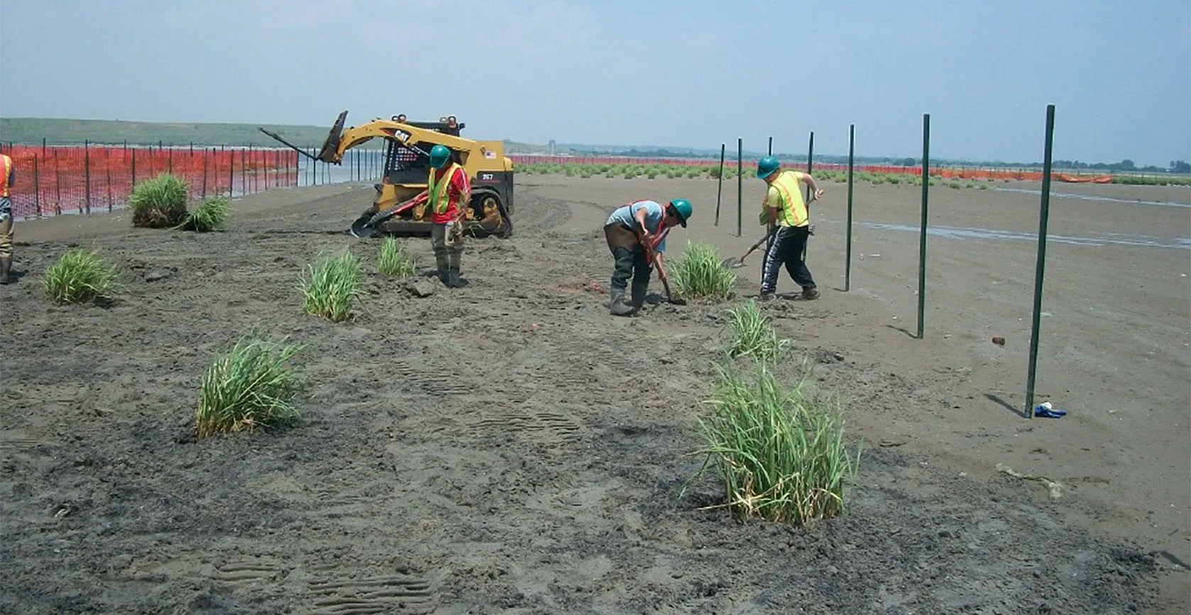 Elder’s Point West Restoration – Jamaica Bay, NY, photo 2