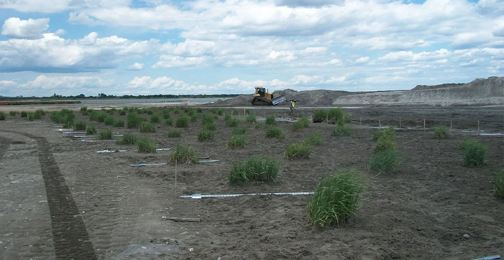 Elder’s Point West Restoration – Jamaica Bay, NY, photo 3