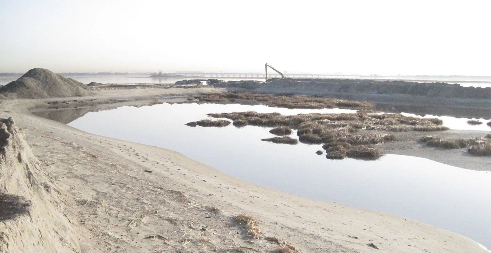 Elder’s Point West Restoration – Jamaica Bay, NY, photo 8