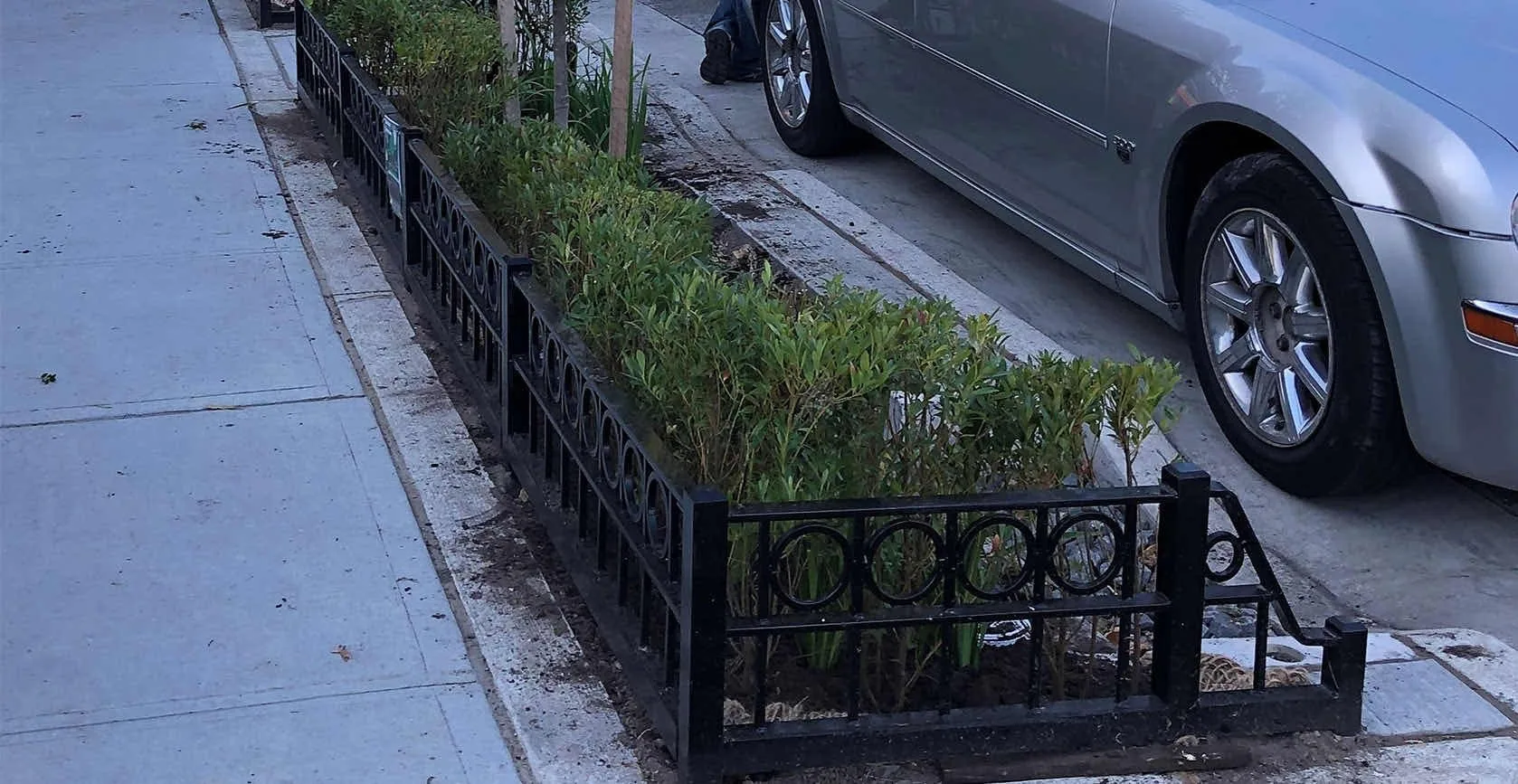 Flushing Green Infrastructure Bioswales, photo 4
