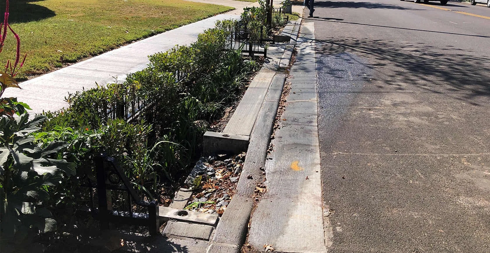 Flushing Green Infrastructure Bioswales, photo 5