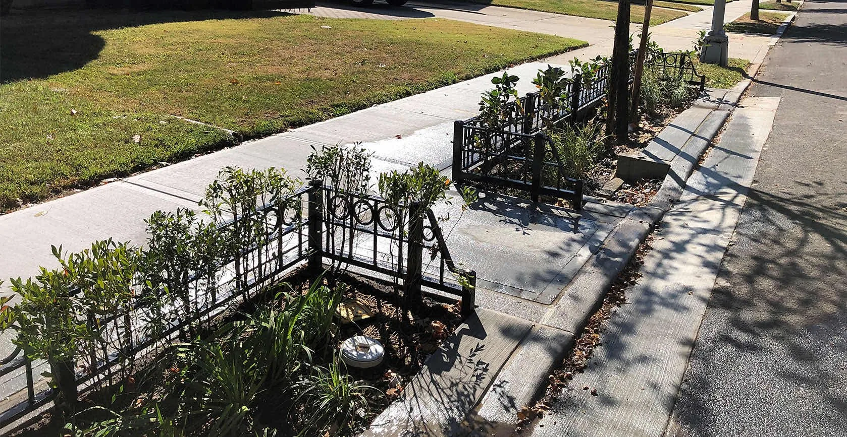 Flushing Green Infrastructure Bioswales, photo 7