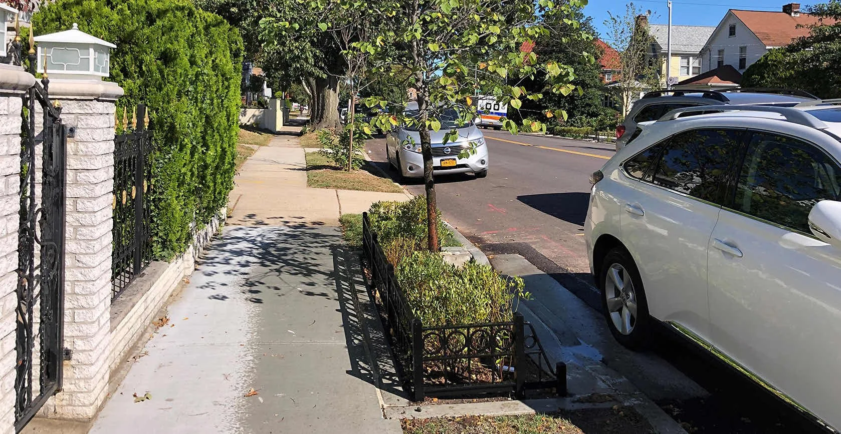 Flushing Green Infrastructure Bioswales, photo 9
