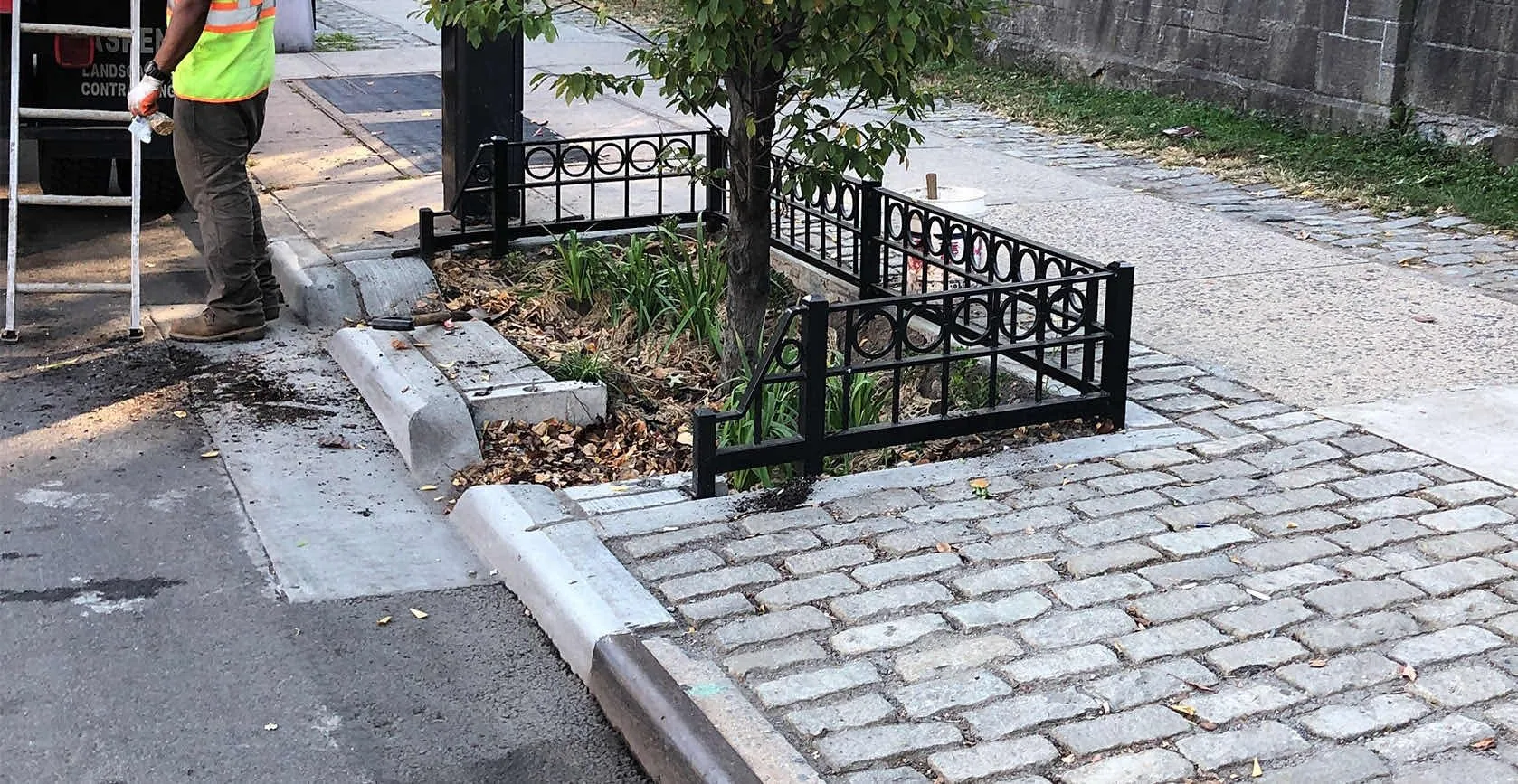 Flushing Green Infrastructure Bioswales, photo 10