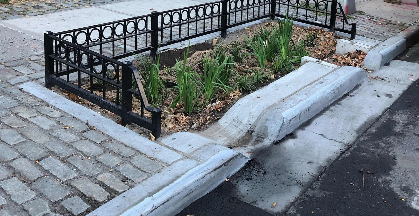 Flushing Green Infrastructure Bioswales, photo 11