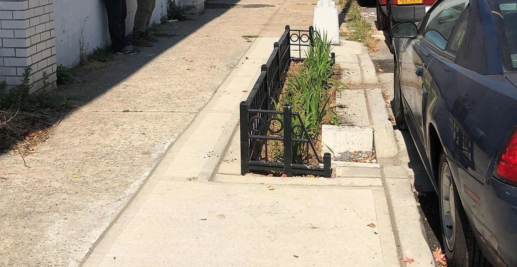 Flushing Green Infrastructure Bioswales, photo 13