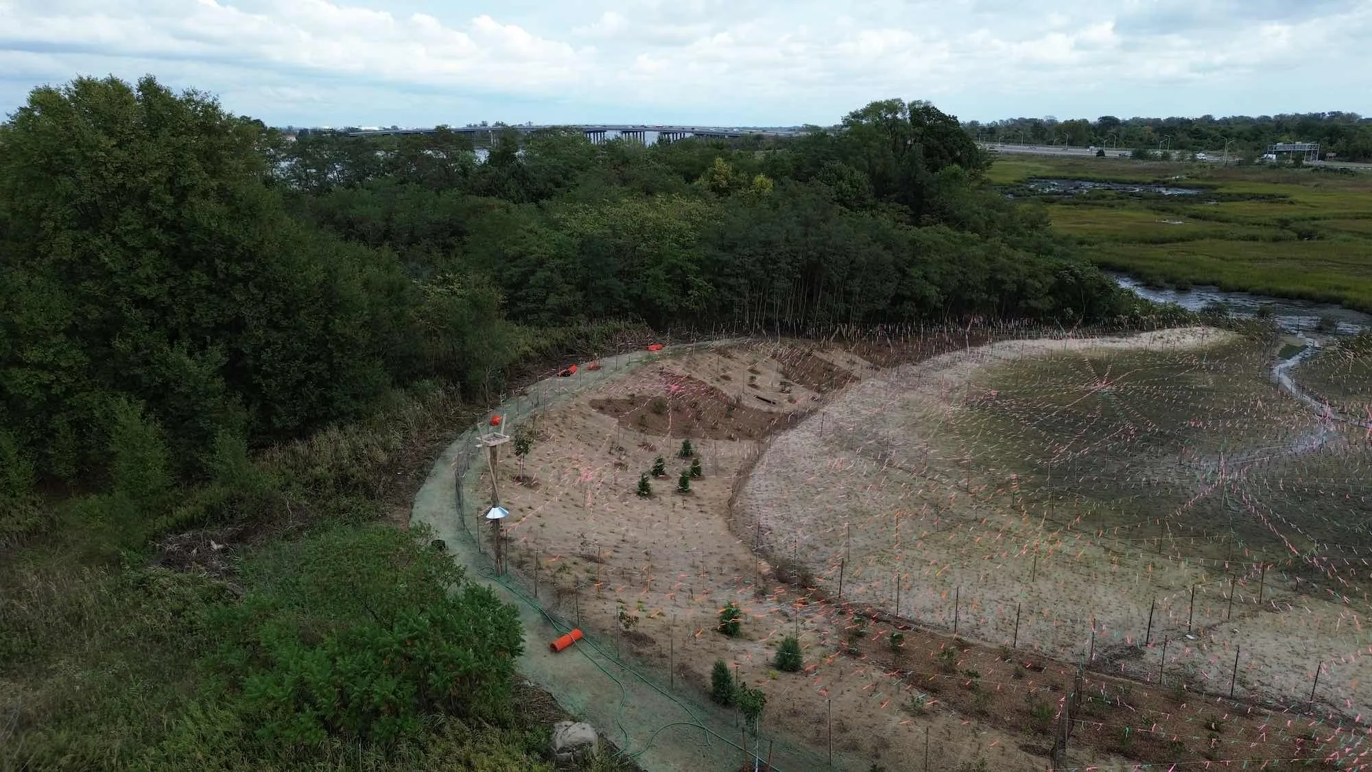 Four Sparrow Marsh Tidal Wetland Remediation, photo 2