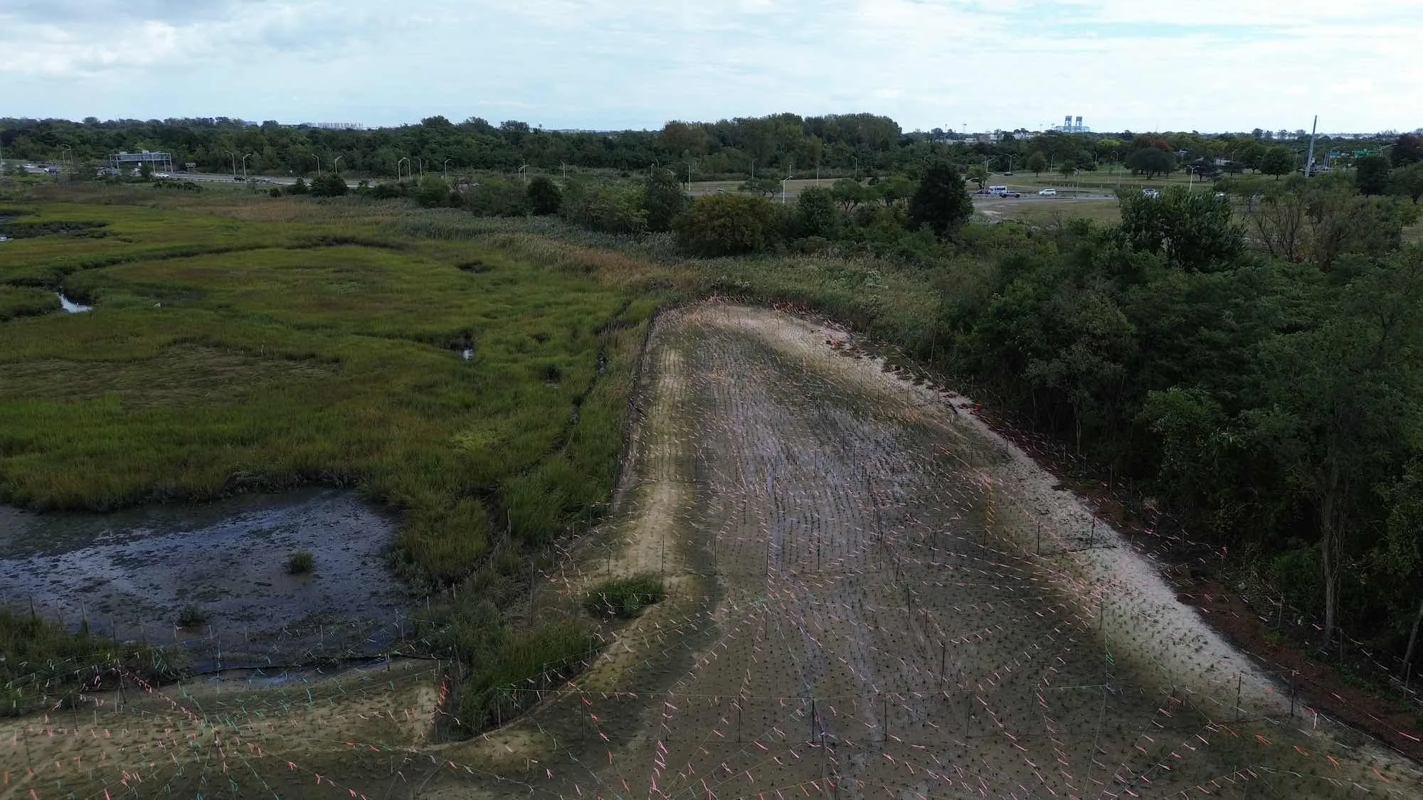 Four Sparrow Marsh Tidal Wetland Remediation, photo 4