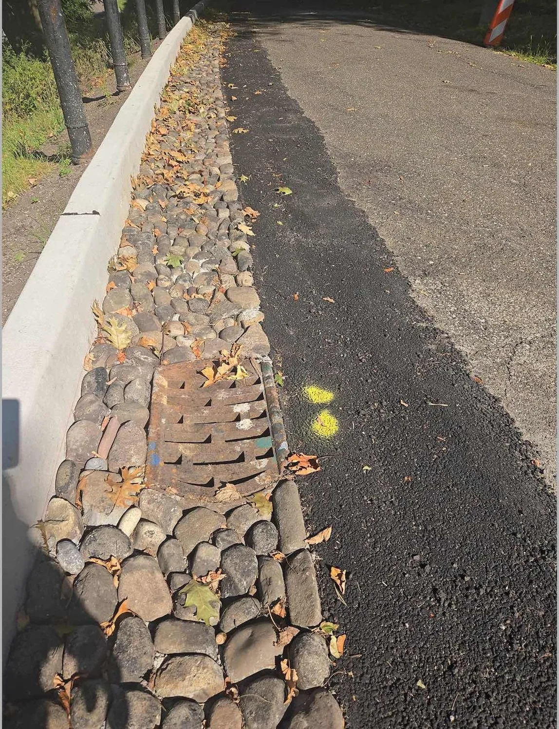 Greenwood Cemetery – Green Infrastructure Projects, photo 4