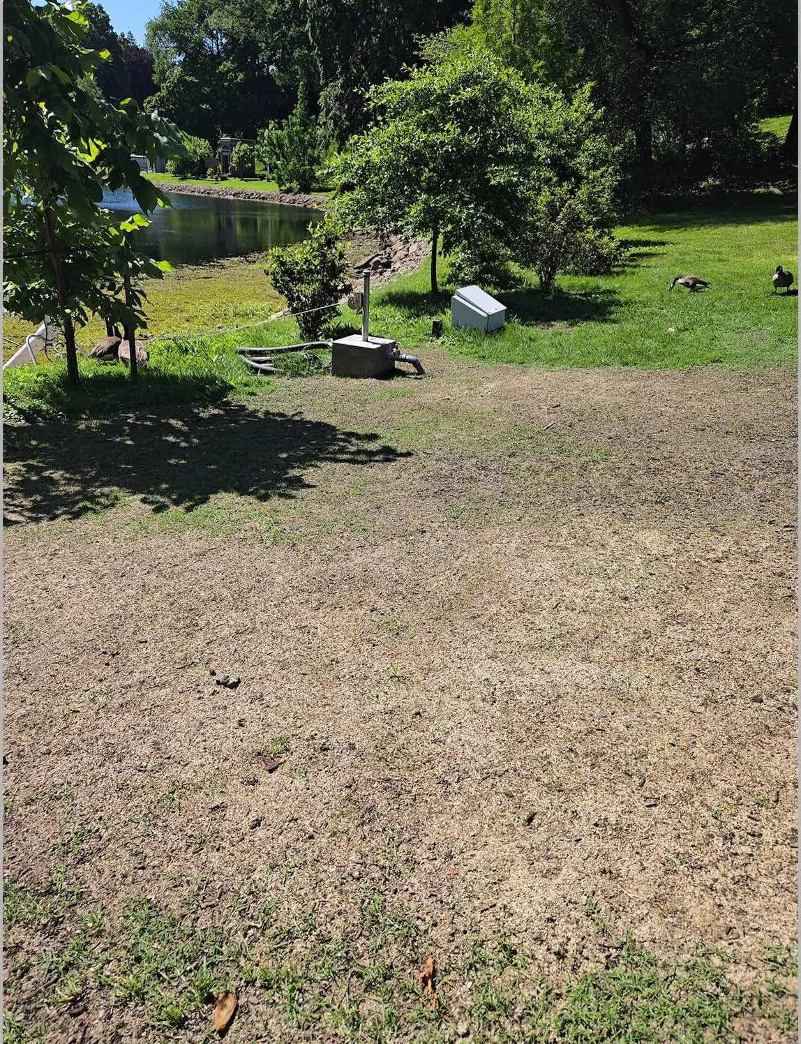 Greenwood Cemetery – Green Infrastructure Projects, photo 19