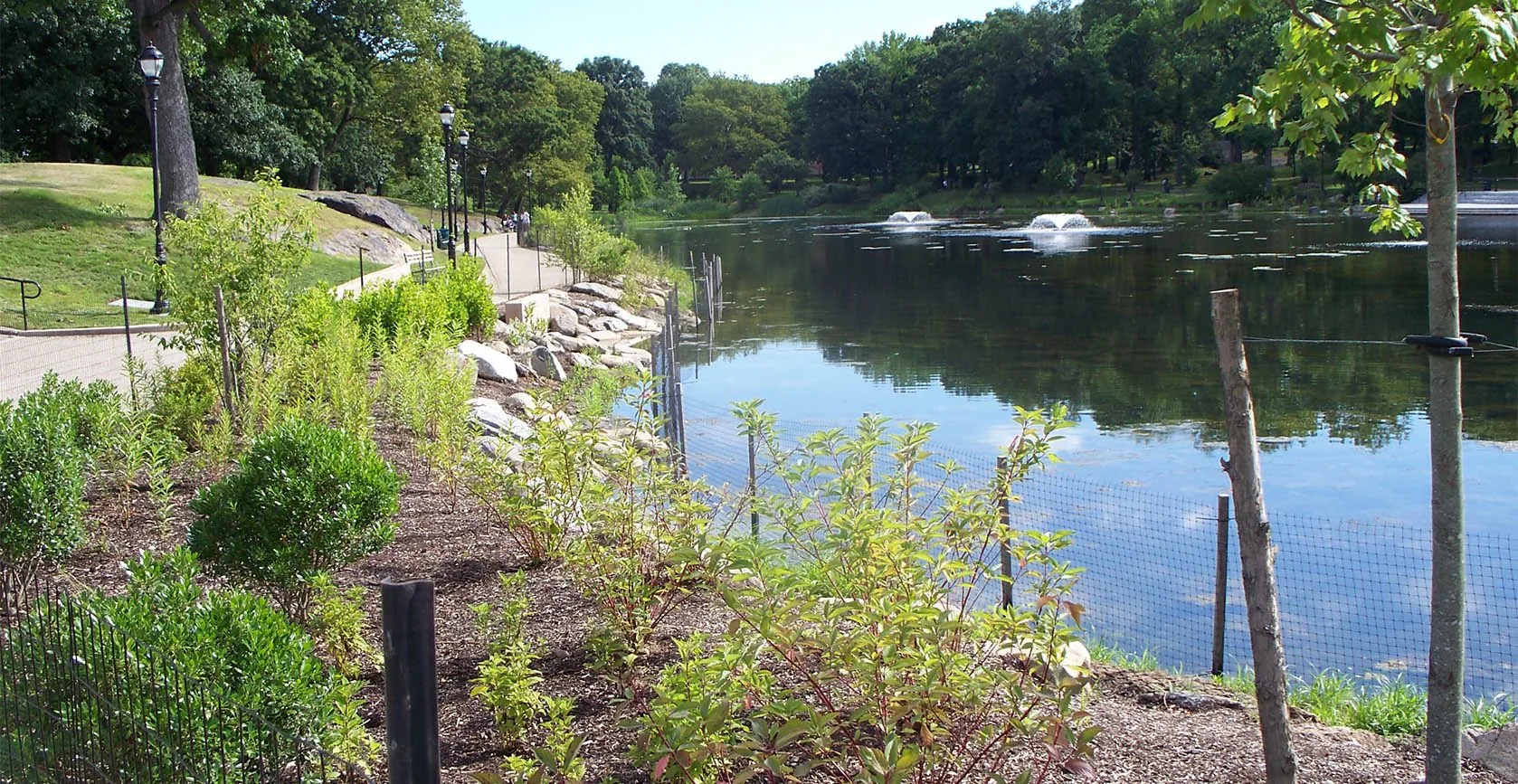 Indian Lake – Bronx, NY, photo 9