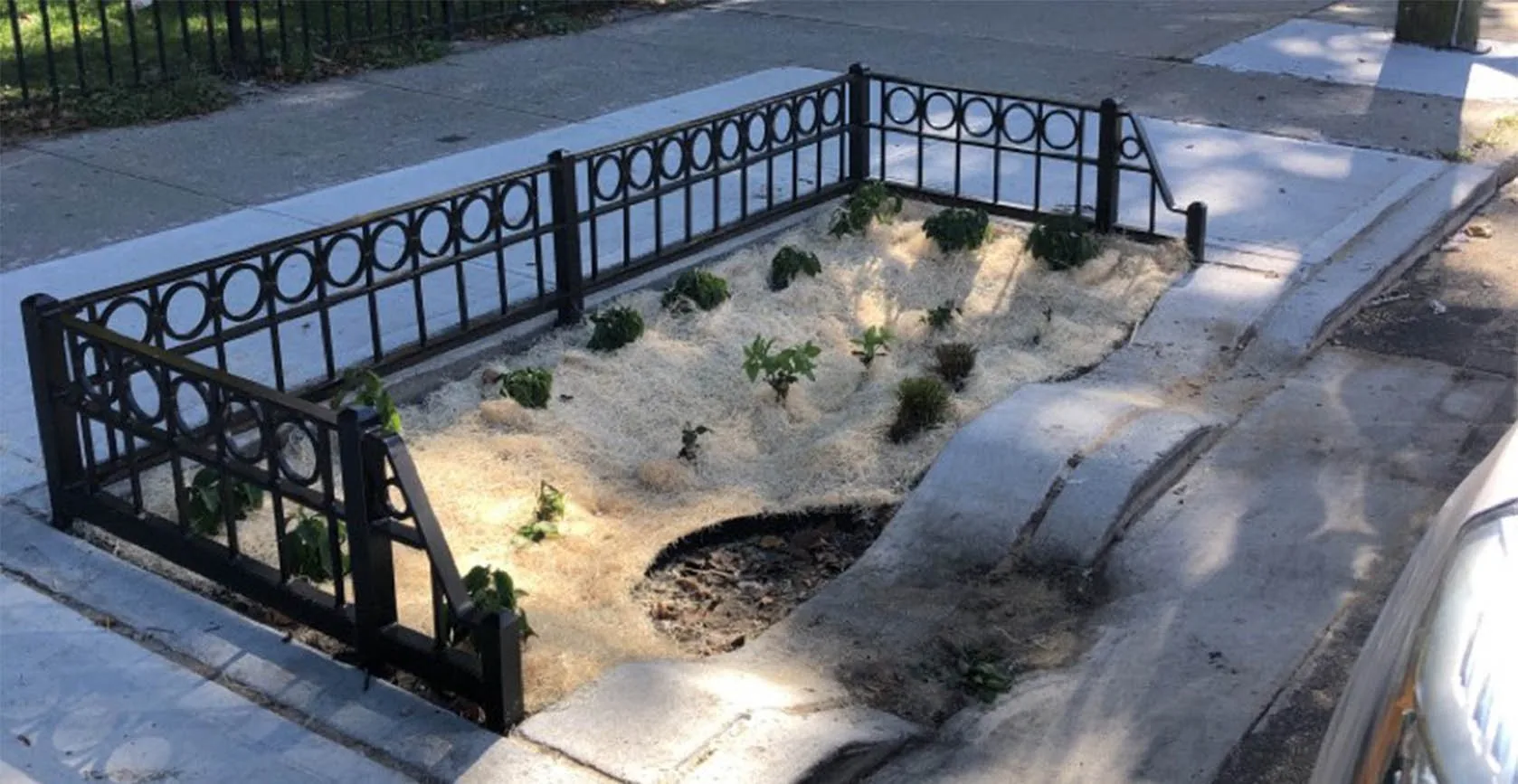 Jamaica Bay Green Infrastructure Bioswales, built by Galvin Brothers