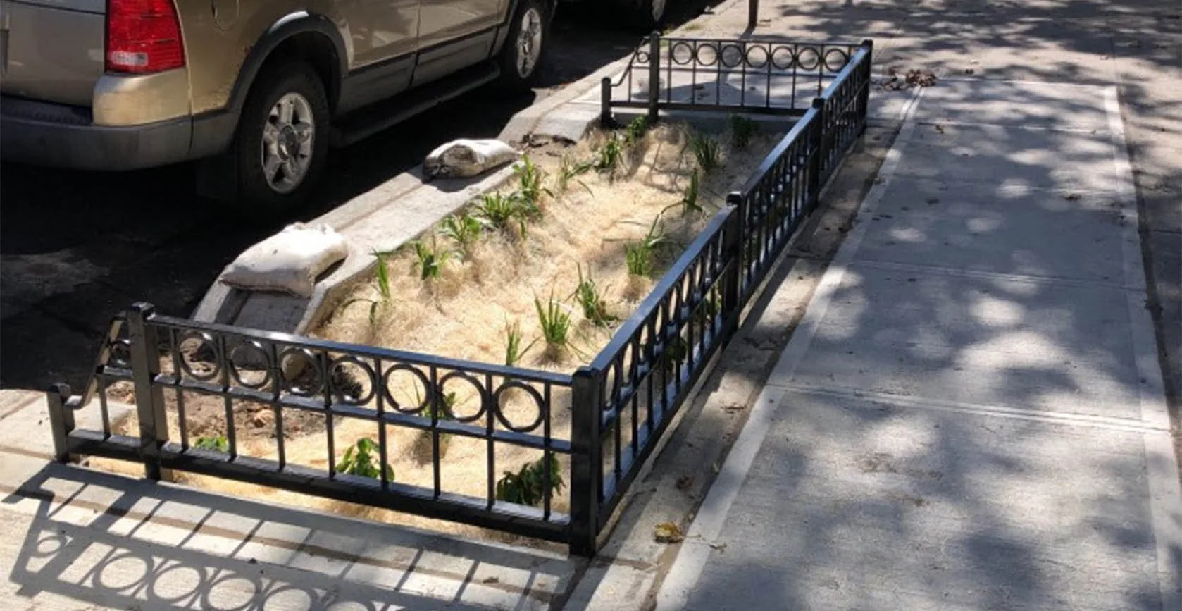 Jamaica Bay Green Infrastructure Bioswales, photo 2
