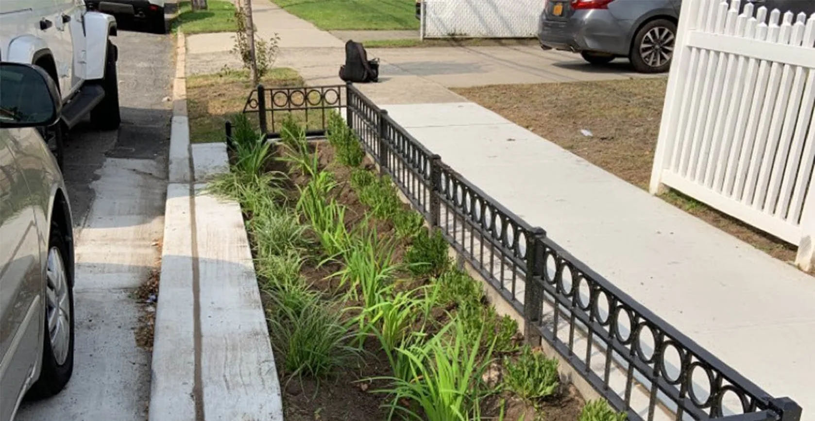 Jamaica Bay Green Infrastructure Bioswales, photo 6