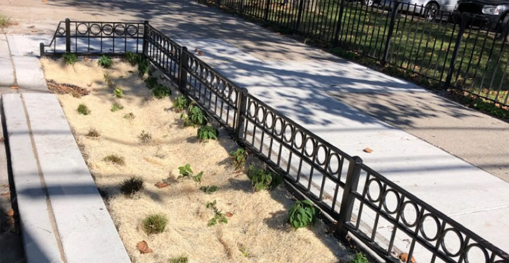 Jamaica Bay Green Infrastructure Bioswales, photo 7