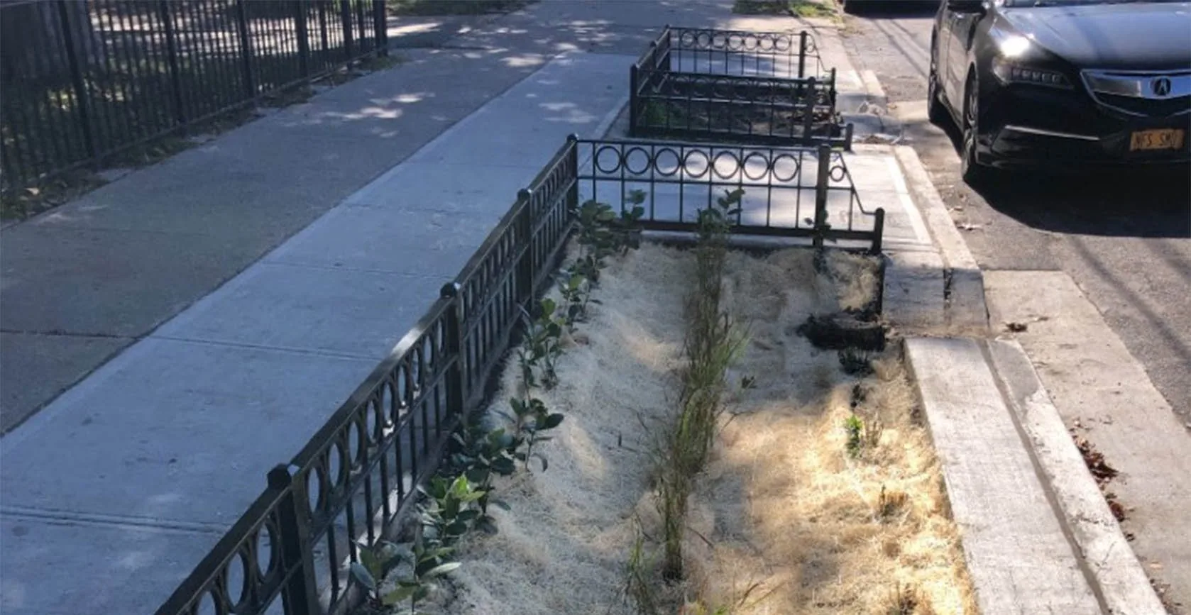 Jamaica Bay Green Infrastructure Bioswales, photo 8