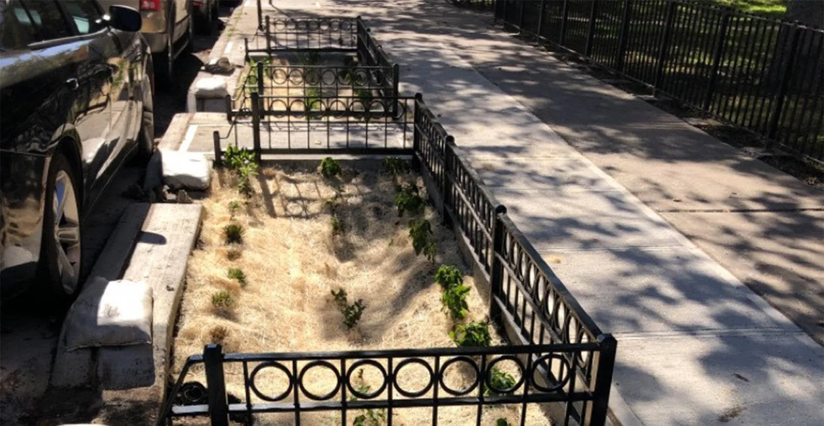 Jamaica Bay Green Infrastructure Bioswales, photo 9