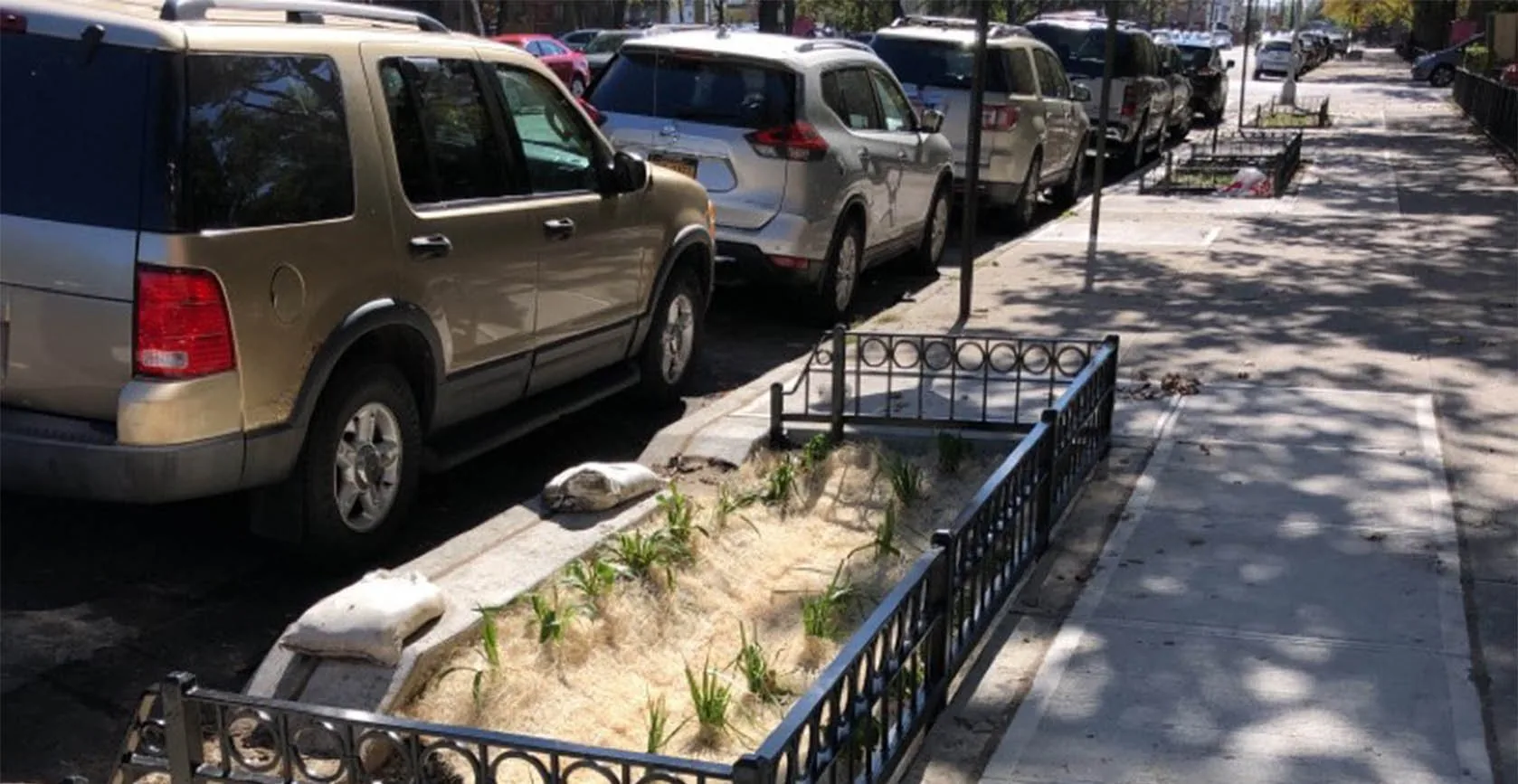 Jamaica Bay Green Infrastructure Bioswales, photo 10
