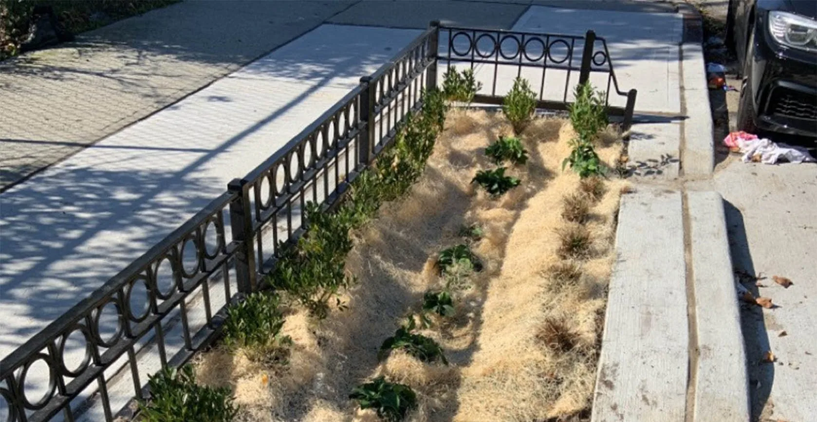 Jamaica Bay Green Infrastructure Bioswales, photo 12