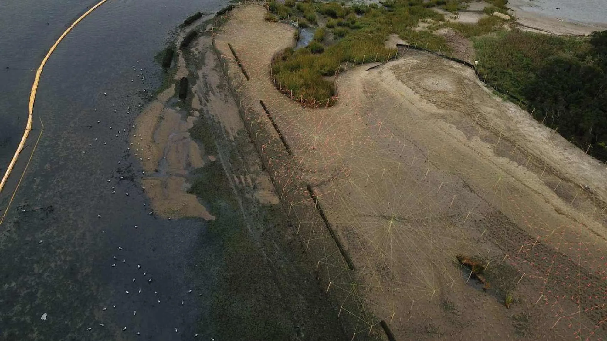 Jamaica Bay Wildlife Refuge – West Pond, photo 10
