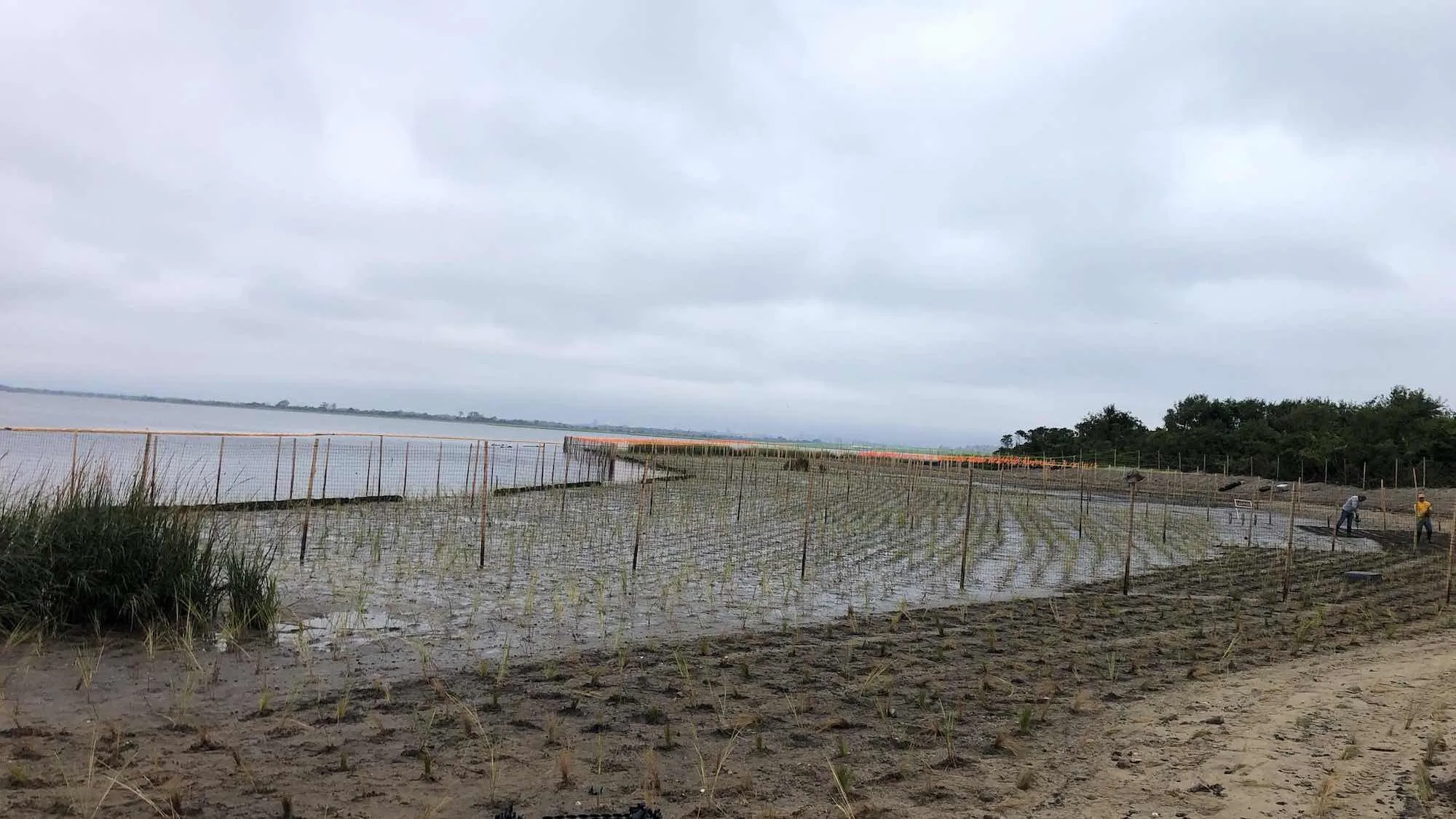 Jamaica Bay Wildlife Refuge – West Pond, photo 12